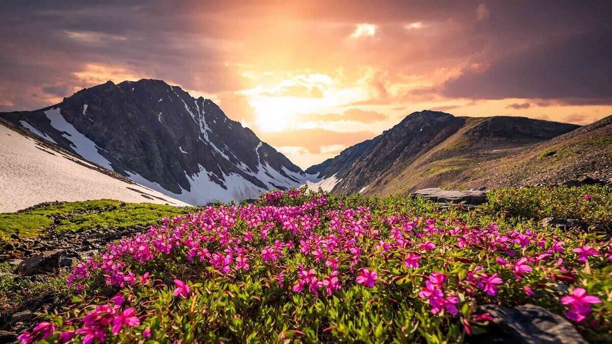 Valley of Flowers Trek trekking package from Dehradun