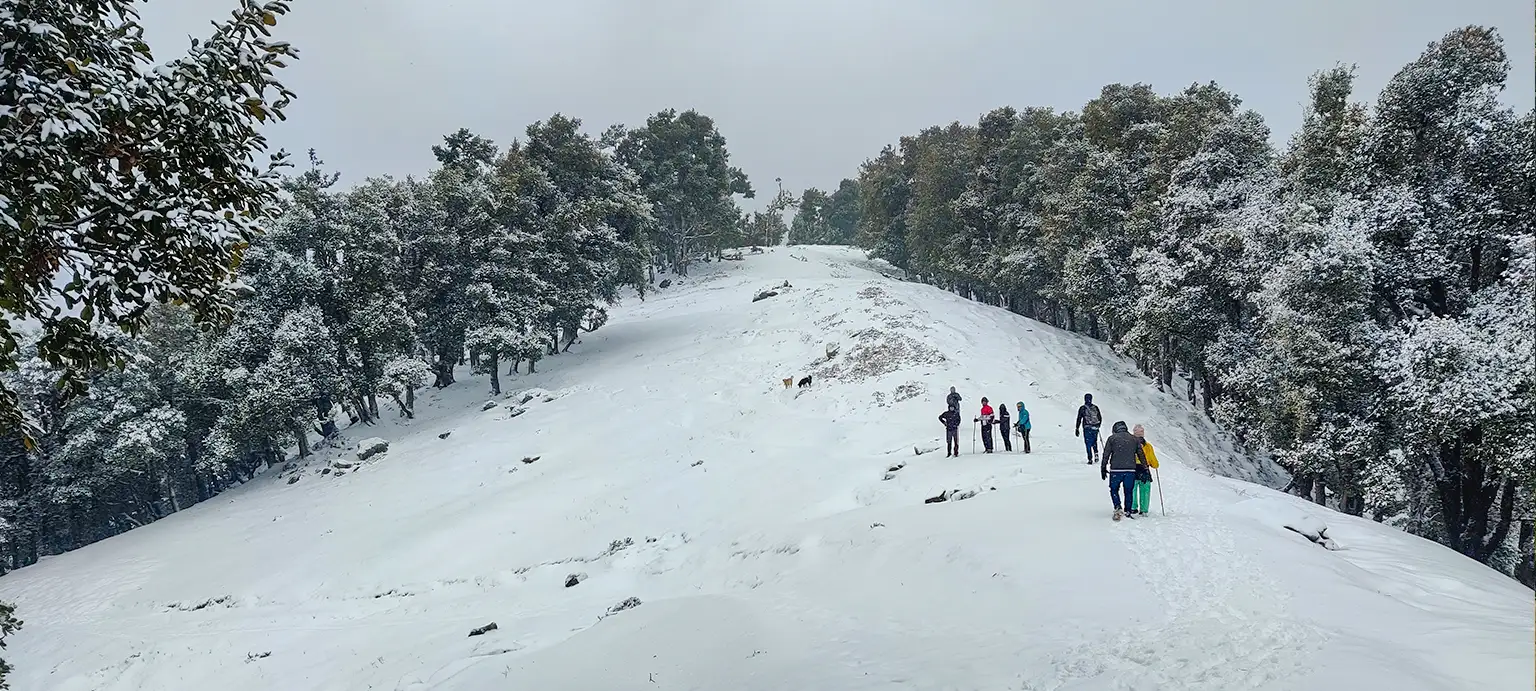 Nag Tibba Trek trekking package from Dehradun